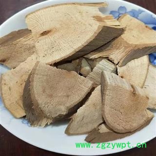 圣草康园葡萄藤 野葡萄藤 葡萄根图2