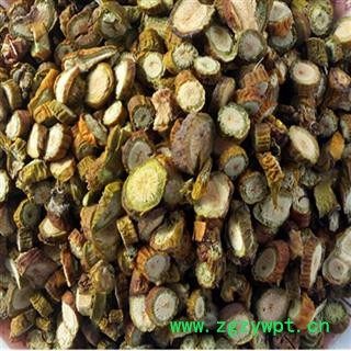 槲寄生 东北寄生 低价促销选货 大片重在品质量大从优吉康药业图3