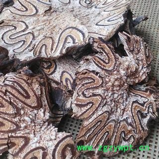 吉康药业 龙骨风 飞天蠄蟧 大贯众选图2