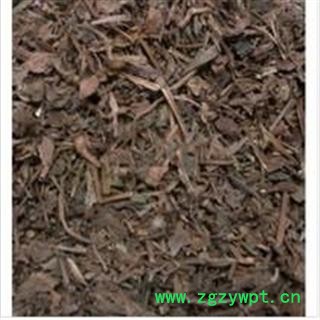 水葱 冲天草 苻蓠 莞蒲 夫蓠 葱蒲 莞草 蒲苹 水丈葱图2