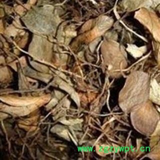 吉康药业中药材 抱石莲 镜面草抱树莲鱼鳖金星草 石瓜子 地连钱 金龟藤图2