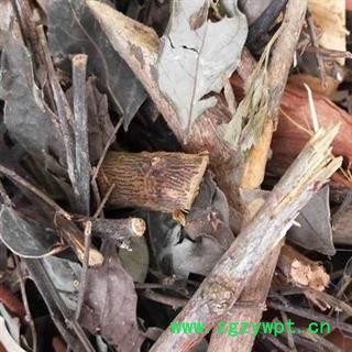 黑面神 钟馗草 鬼画符 黑面叶 正品保证质量 安品堂图2