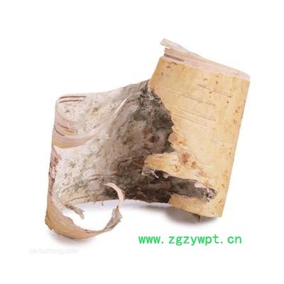 【满包邮】桦树皮 统 1000g 产地 辽宁省