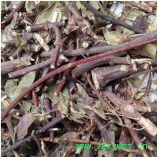 新辉药业中草药薛荔藤 木莲藤图2