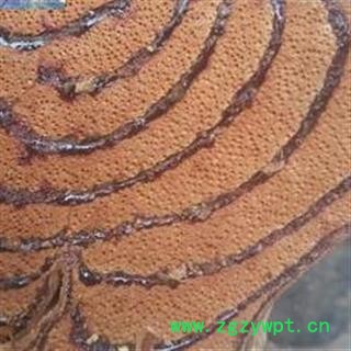 鸡血藤  鸡血藤统片 血结多 颜色好 产地直销   产地 海外图2