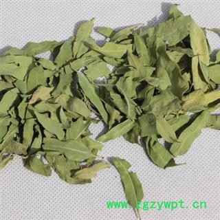 罗布麻 大罗布麻叶统货 产地 新疆维吾尔自治区 产地直销 重在质量图2