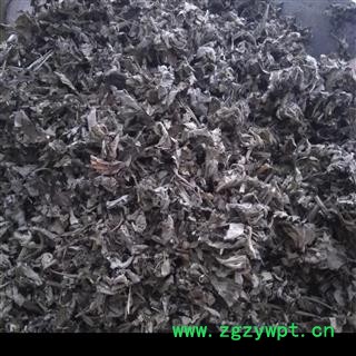 艾叶 大艾叶 统   产地直销  山东省图2