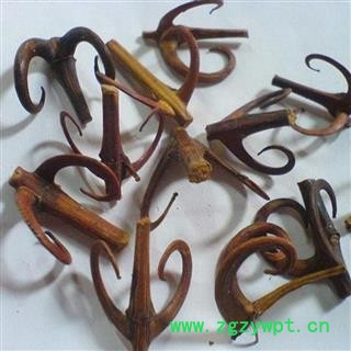 钩藤 含钩85%以上 产地 湖南省 华美中药 产地直销 重在品质图2