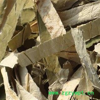 荷叶 荷叶长丝 统图3