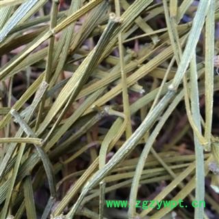 柄果槲寄生 无叶寄生 螃蟹脚 正品保证质量7天无理由退货退款 华安堂图3