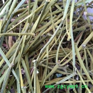 柄果槲寄生 无叶寄生 螃蟹脚 正品保证质量7天无理由退货退款 华安堂图2