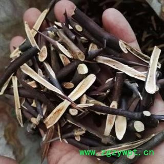 皂刺 皂刺正品保证质量7天无理由退货退款 安品堂图2