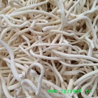 小通草 通草 正品保证质量7天无理由退货退款 安品堂图4