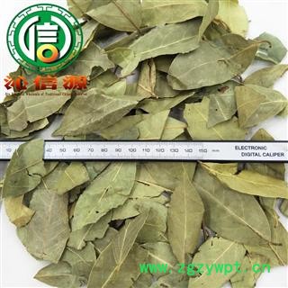 【满包邮】香叶统货散装广西产地直供月桂叶 香桂叶 桂叶沁信源中药批发图2