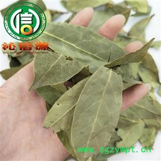 【满包邮】香叶统货散装广西产地直供月桂叶 香桂叶 桂叶沁信源中药批发图3