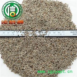 【满包邮】白苏麻子选货散装江苏产地直供白苏麻籽 白苏子沁信源中药批发图2