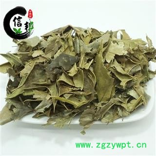 无硫枸骨叶自然色无硫功劳叶产地直销今年新货专注品质，诚信信邦！图3