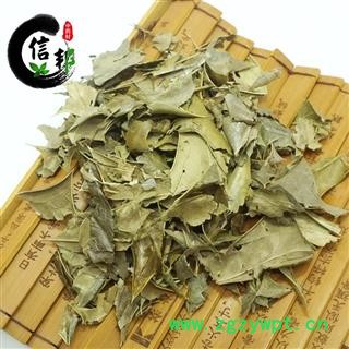 无硫枸骨叶自然色无硫功劳叶产地直销今年新货专注品质，诚信信邦！图2