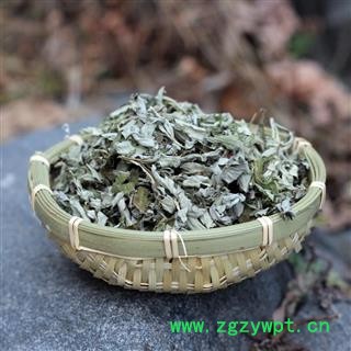 艾叶 统 野生艾草产地 陕西省秦岭山区