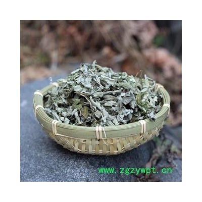 艾叶 统 野生艾草产地 陕西省秦岭山区