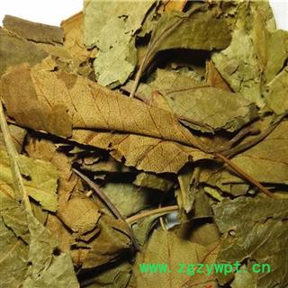 吉康药业山楂叶 今年新货颜色好图2