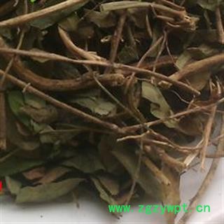 吉康药业中药材 相思藤 土甘草 山甘草 寸节七图2