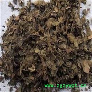 吉康药业紫珠叶 小叶紫珠叶  产地贵州图2