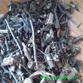 圣草康园石楠藤石南藤 石楠藤 爬岩香 巴岩香图3