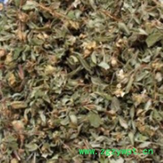 新辉药业正品甜茶 药王茶图2