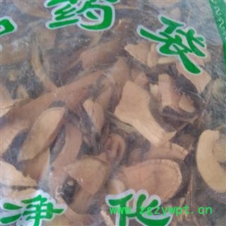 圣草康园木莲藤 霹雳藤  木馒头藤图2