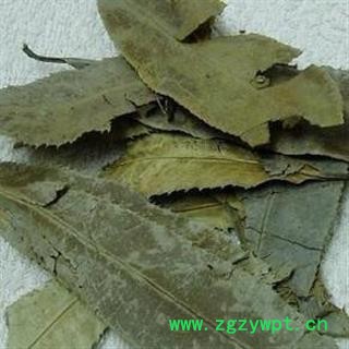 吉康药业 石楠藤 爬岩香 巴岩香 石南藤 满天香 小风藤新货15天无理由退货图2