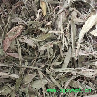 甜叶菊 统 产地 黑龙江省 华美中药 产地直销 专注品质图3