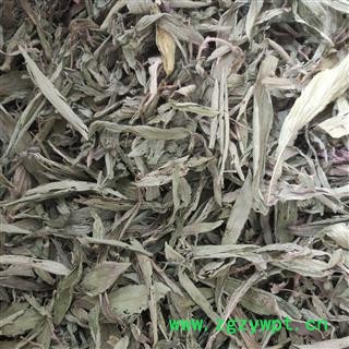 甜叶菊 统 产地 黑龙江省 华美中药 产地直销 专注品质图2