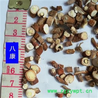 牡丹皮 01实芯 产地 安徽省图3