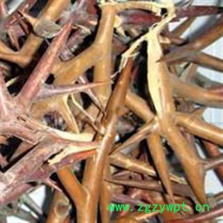 中药材皂刺 新货  皂角刺、皂刺、天丁图2