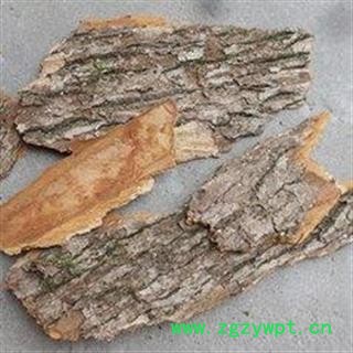 新辉药业 正品樟木 樟木皮 香樟树皮图2