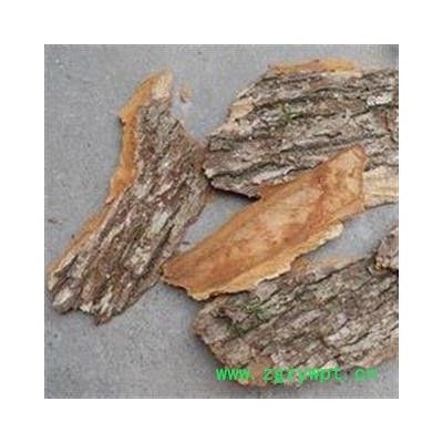 新辉药业 正品樟木 樟木皮 香樟树皮