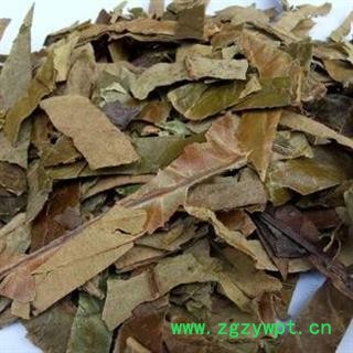 枇杷叶 正品保证质量7天无理由退货退款 安品堂图4