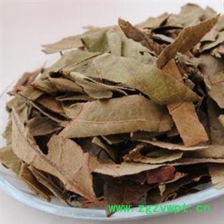 枇杷叶 正品保证质量7天无理由退货退款 安品堂图3