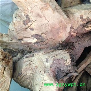 新辉药业中药材檀香树头图2