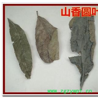 山香圆叶 七寸钉 两指剑 千打锤 正品保证质量 安品堂图4