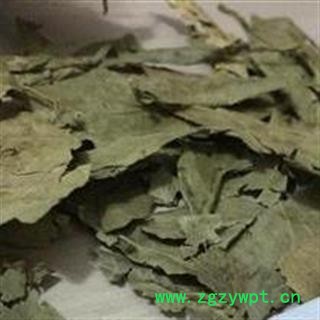 山香圆叶 七寸钉 两指剑 千打锤 正品保证质量 安品堂图2