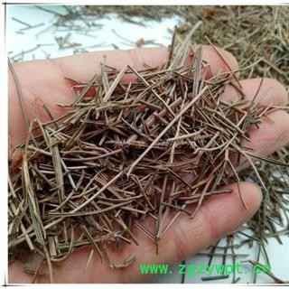 松针 正品保证质量7天无理由退货退款 安品堂图4