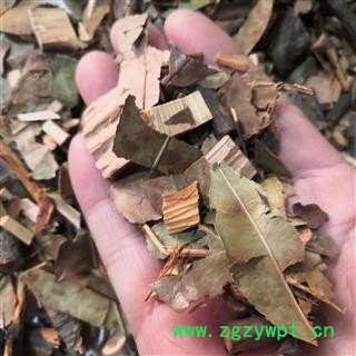 新辉药业石楠叶藤 爬岩香  石楠藤 另有石楠叶图2