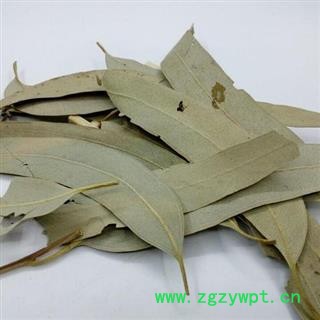 桉叶 别名桉树叶 统货正品保证质量 中药材批发 丽丽药业图3