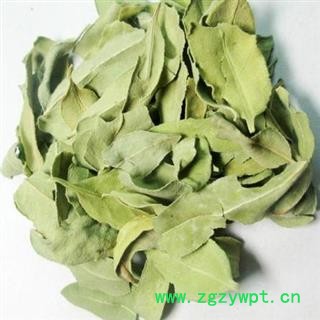 罗布麻 茶用罗布麻 选 产地 新疆维吾尔自治区 产地直销 重在质量图3