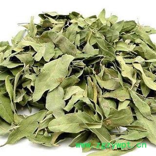 罗布麻 茶用罗布麻 选 产地 新疆维吾尔自治区 产地直销 重在质量图2