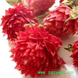 百花茶 红巧梅 选 批发花茶 花草茶 矿石 代加工超细粉 产地 广东省江门市台山市图2