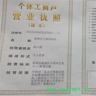 枇杷叶 01 枇杷叶 统 产地 安徽省淮南市凤台县图3