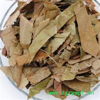 枇杷叶 01 枇杷叶 统 产地 安徽省淮南市凤台县图2